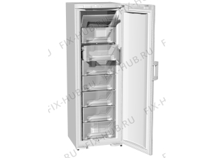 Холодильник Gorenje F61300W (187156, ZOS3167C) - Фото